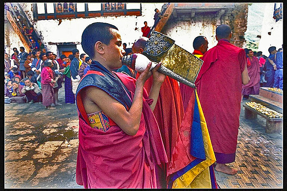 Conch Blower