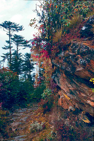 Trail to Luntse, Bhutan