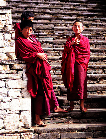 Yount Lamas Hanging Out at Monastery