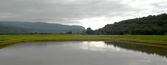 HANALEI RIVER
