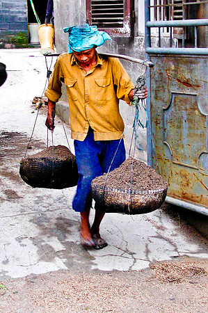 Hod Carrier Vietnam