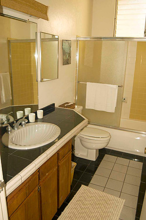 GUEST BATH ROOM