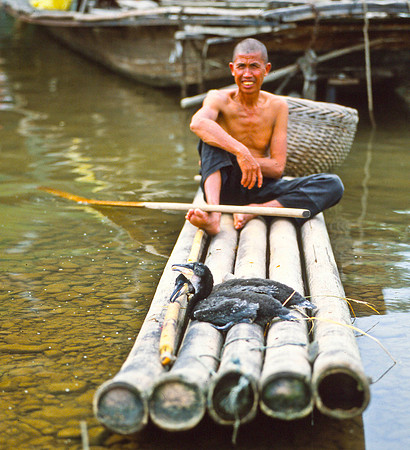 A Cormoranrt Fisherman with his Bird