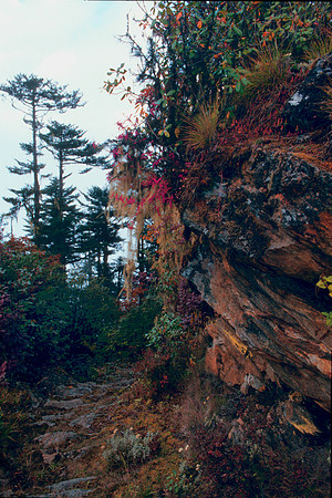Bhutan Slides006