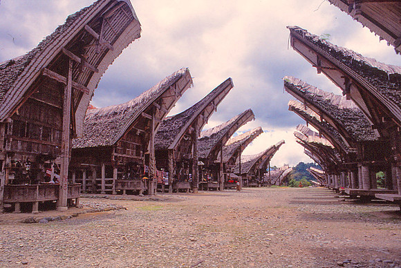 A Row of  House in Toraja Land