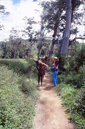 Encounter on the Trail