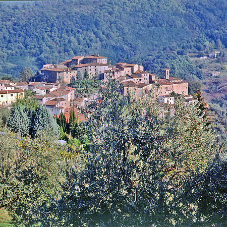 VILLAGE SEEN FROM ABOVE, VAL DI FAVORA