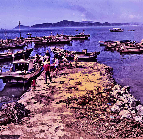 Fishing Port, Pusan