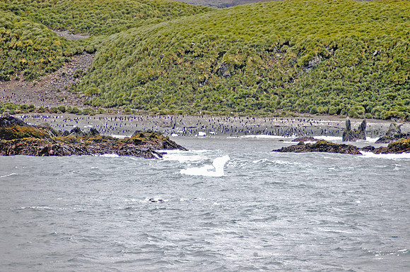 SOUTH GEORGIA ISLAND -2004