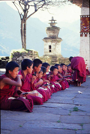 Young Lanas at Tongsa