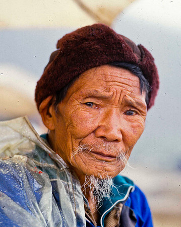 A Market Portrait