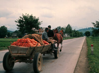 Transporting Bricks, Romania
