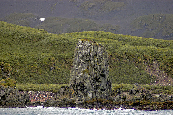 SOUTH GEORGIA ISLAND -2004