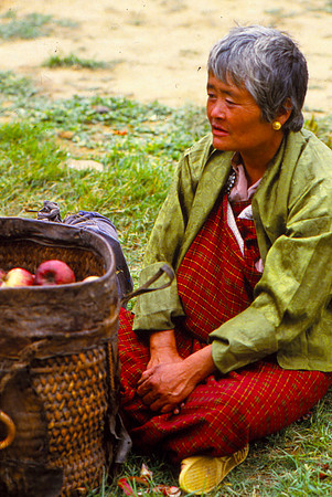 Recently Picked Apples