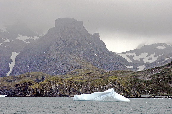 SOUTH GEORGIA ISLAND -2004