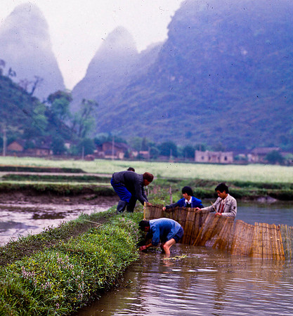 Working the Family Fish Farm