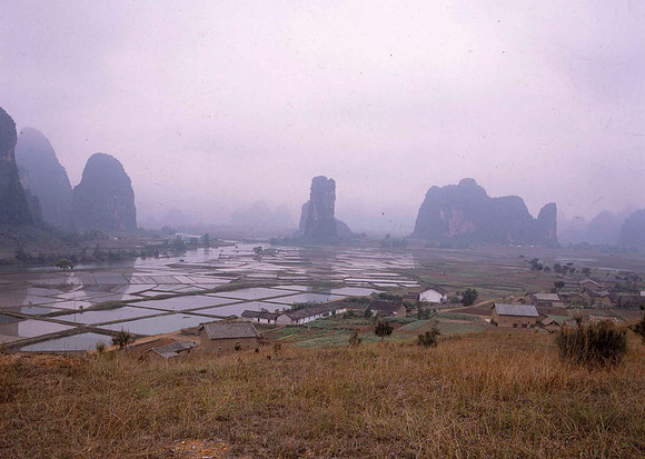 Flooded Paddies on he Lei Riverf
