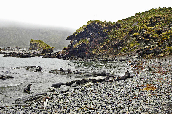 SOUTH GEORGIA ISLAND -2004