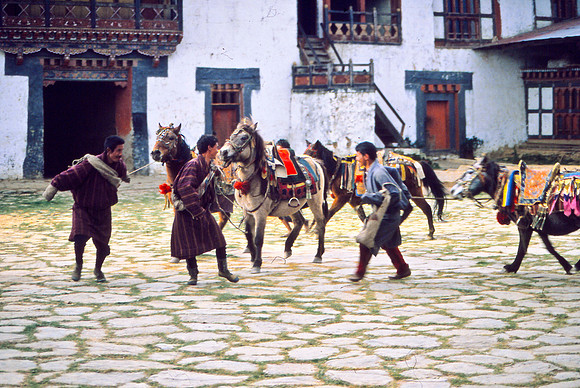 Horsemen at Wandi Festival