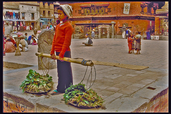 Nepalese Lad Delivering Veggies, Patan, Nepal