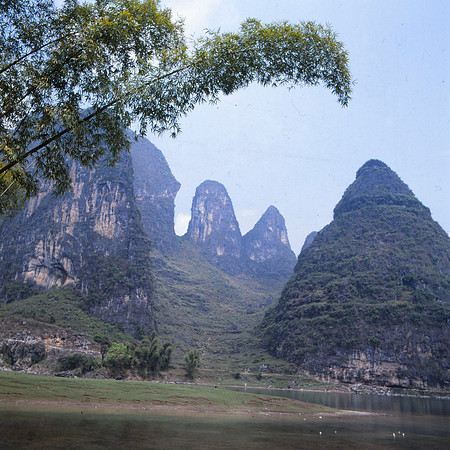Three Karst and Bamboo