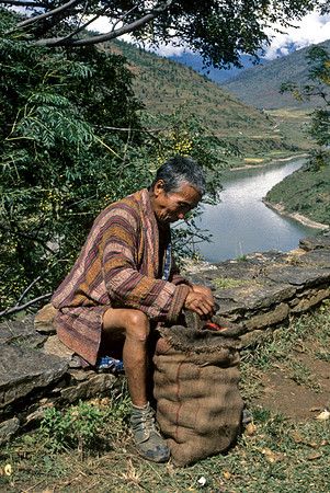 An Apple Merchant-Wangdi Podrang