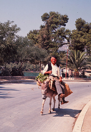 MAN ON DONKEY GOES TO MARKET