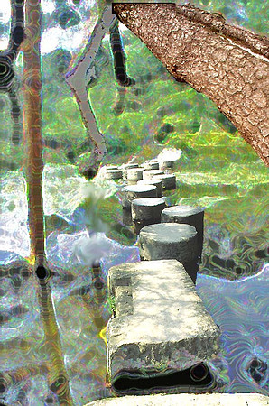 Stepping Stone - Heian Shrine, Kyoto