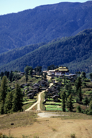 Gantey Gompa Village