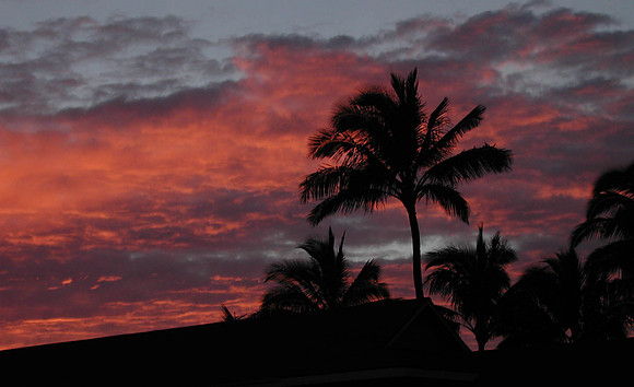 SUNRISE OVER THE LANAI , ALII KAI 6101