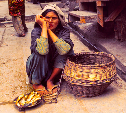 Selling Fish, Katmandu