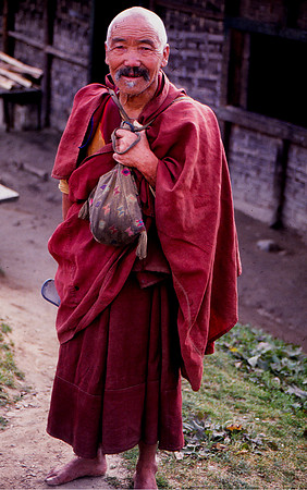 Lama Returning from Market
