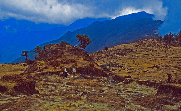 Windswept High Nepali Region