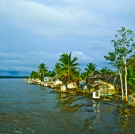 BORNEO 3