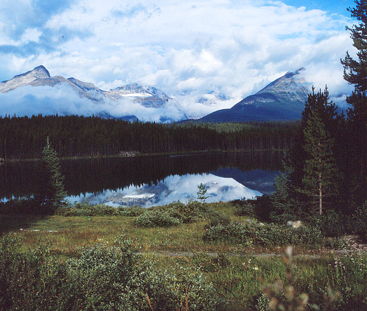 Rocky Mountain Vista