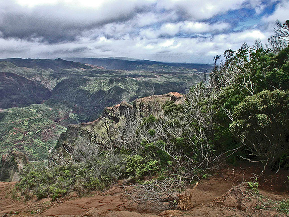 VIEW OF WAIMEA CANYON