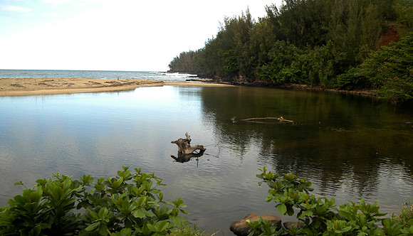 STREAM AT ANINI BEACH