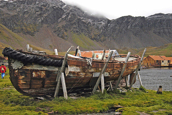 SOUTH GEORGIA ISLAND -2004