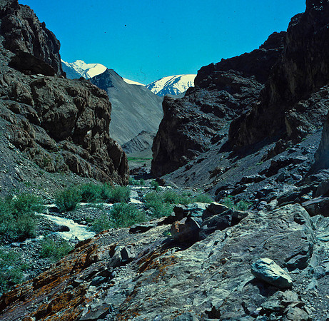 Lakakhi Landscape