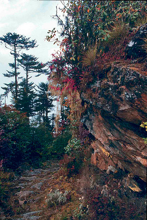 Bhutan Slides006