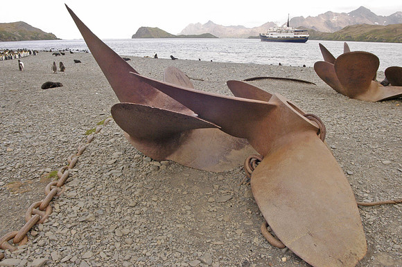 SOUTH GEORGIA ISLAND -2004