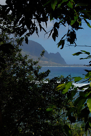 VUE FROM PALI  KE  KAKUA