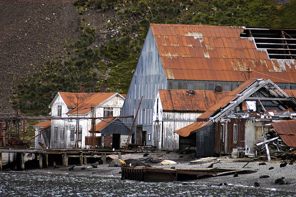 SOUTH GEORGIA ISLAND -2004