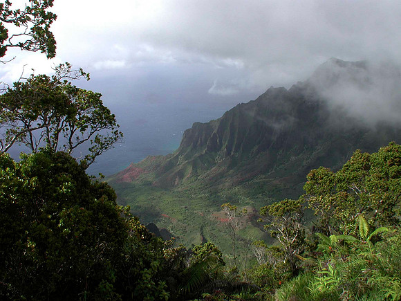 KALALAU COAST FROM KOKEE  PARK