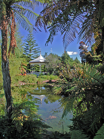 Tranquil Sport, New Zealand
