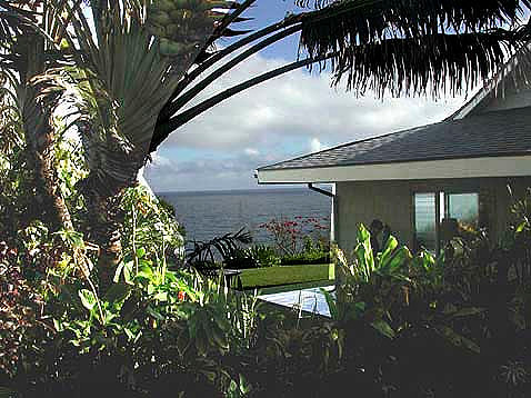 WEST SIDE OF HOUSE