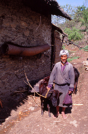 A Bhutanese Farmer with Livestock
