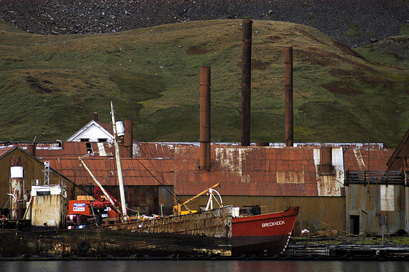 SOUTH GEORGIA ISLAND -2004