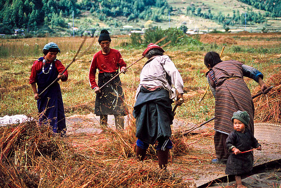 Farming in Bhutan