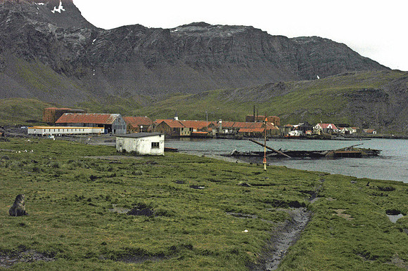 SOUTH GEORGIA ISLAND -2004